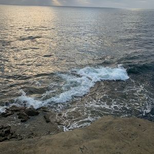 Meet your Posher, Mia